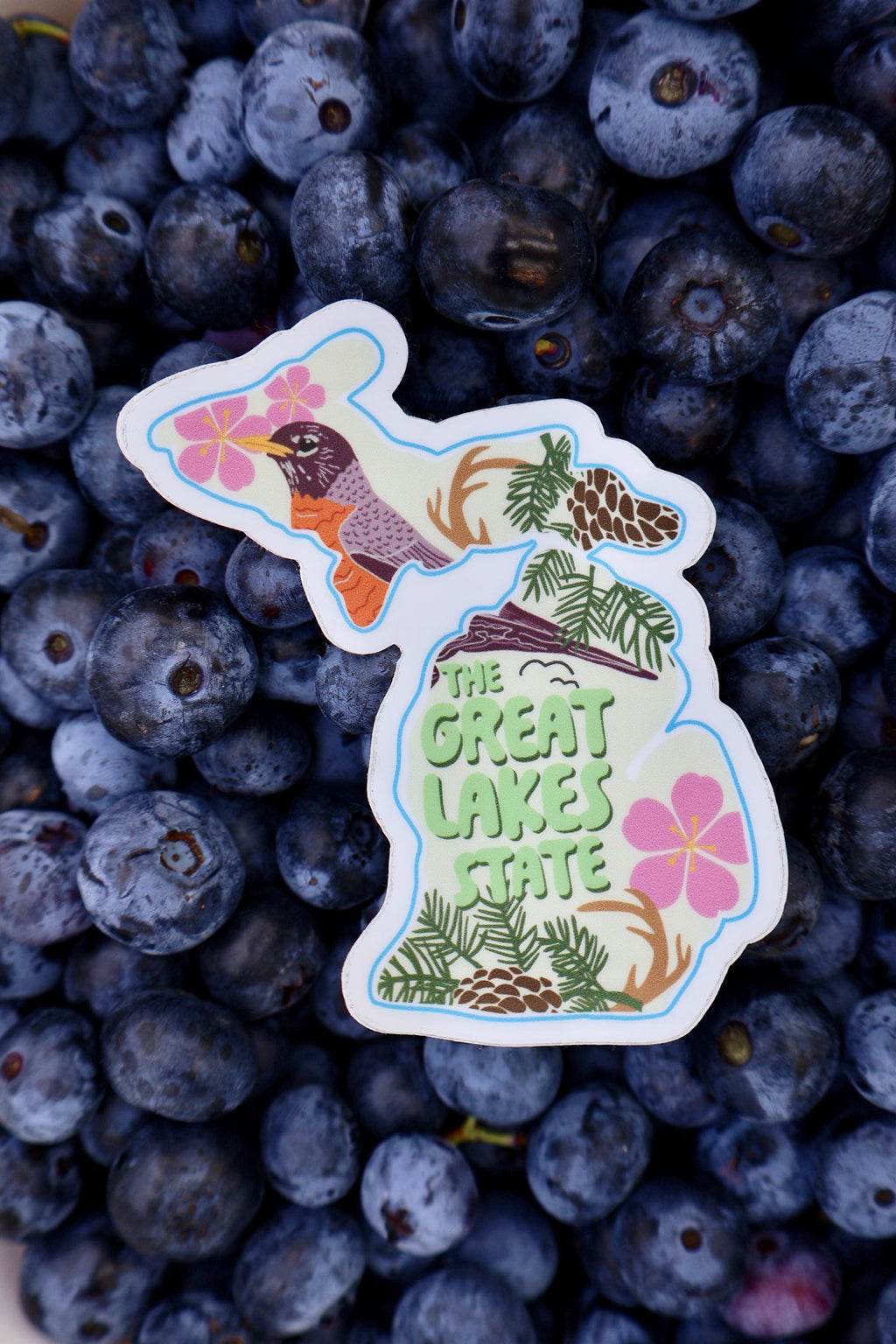 Michigan Mitten State Symbols Sticker - Waterproof Matte Vinyl