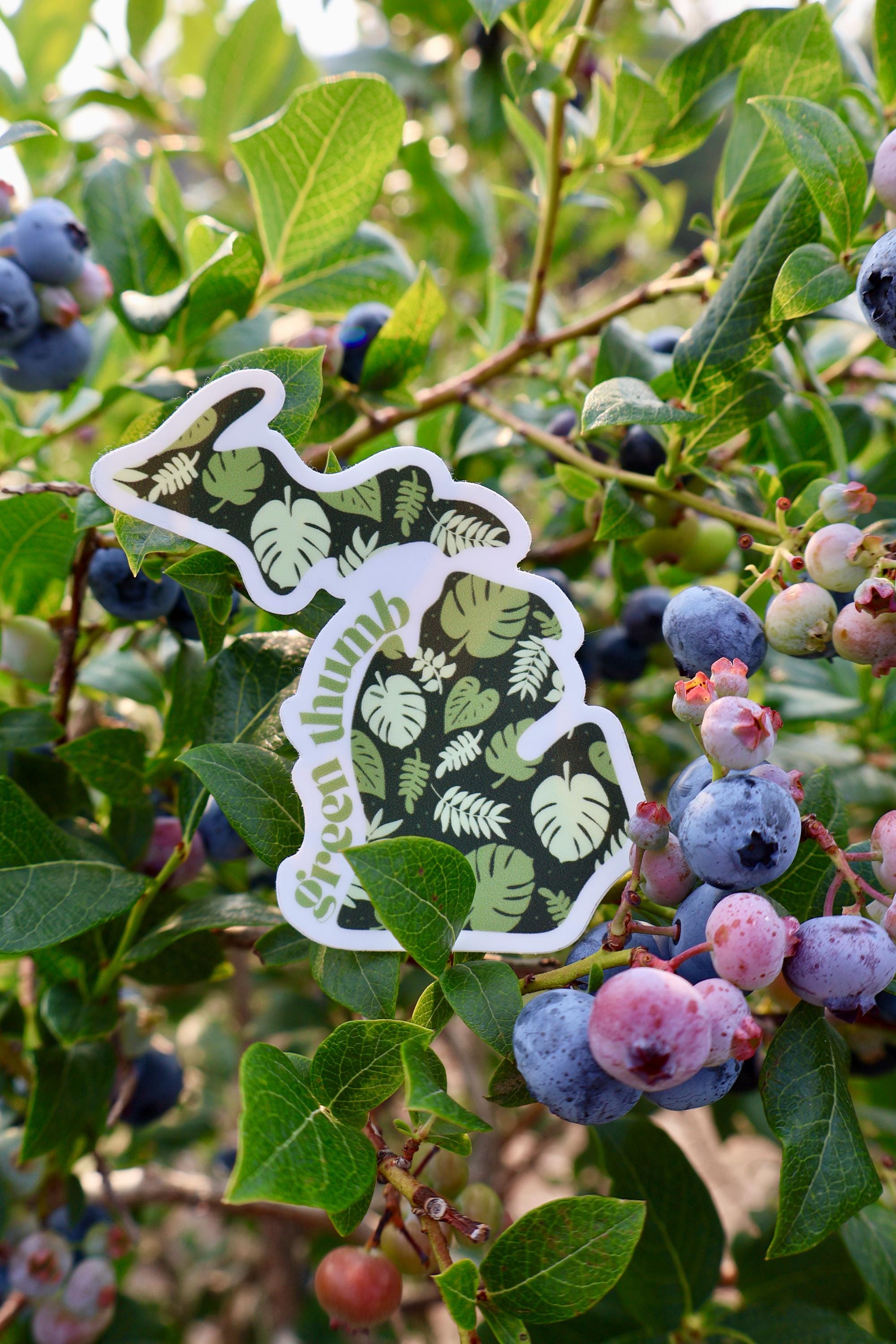 Michigan Green Thumb Houseplant Sticker - Waterproof Matte Vinyl