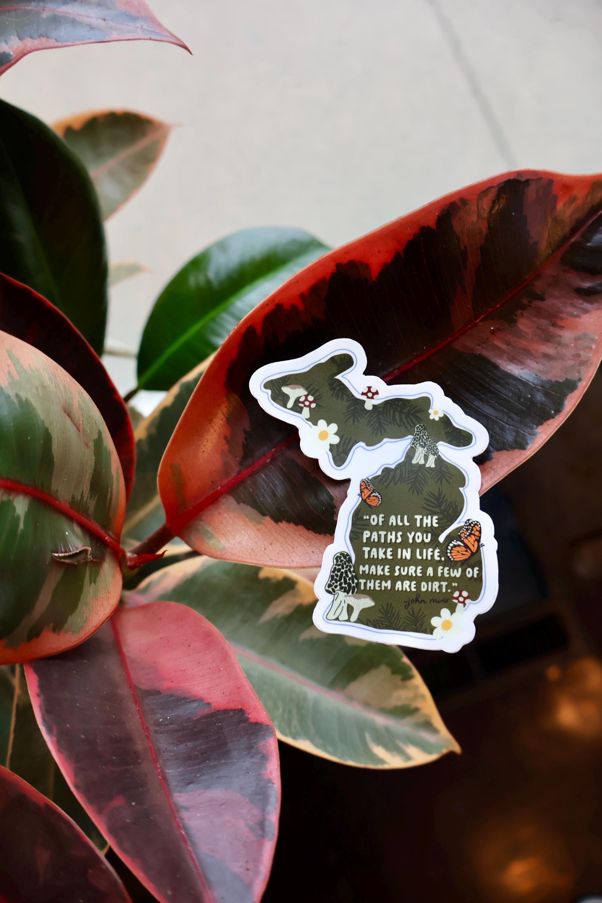 Michigan Outdoor Dirt Path Nature Trail Sticker - Waterproof Matte Vinyl