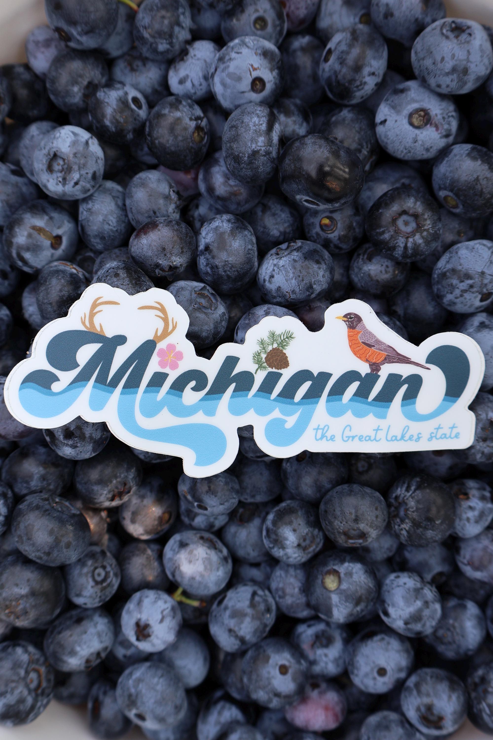 Michigan State Symbols Vinyl Sticker - Waterproof Matte Vinyl