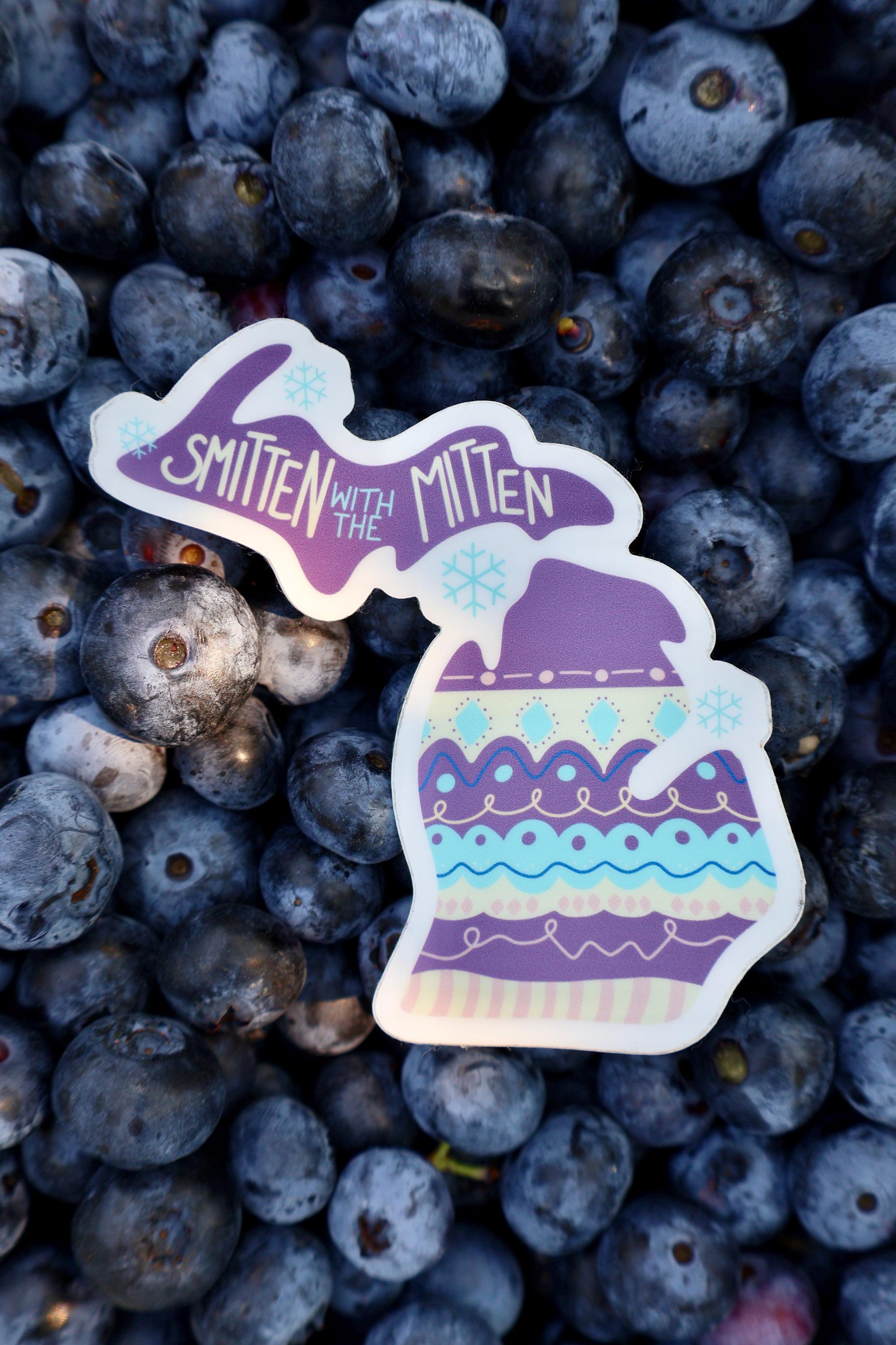 Michigan Winter Mitten Sticker - Waterproof Matte Vinyl