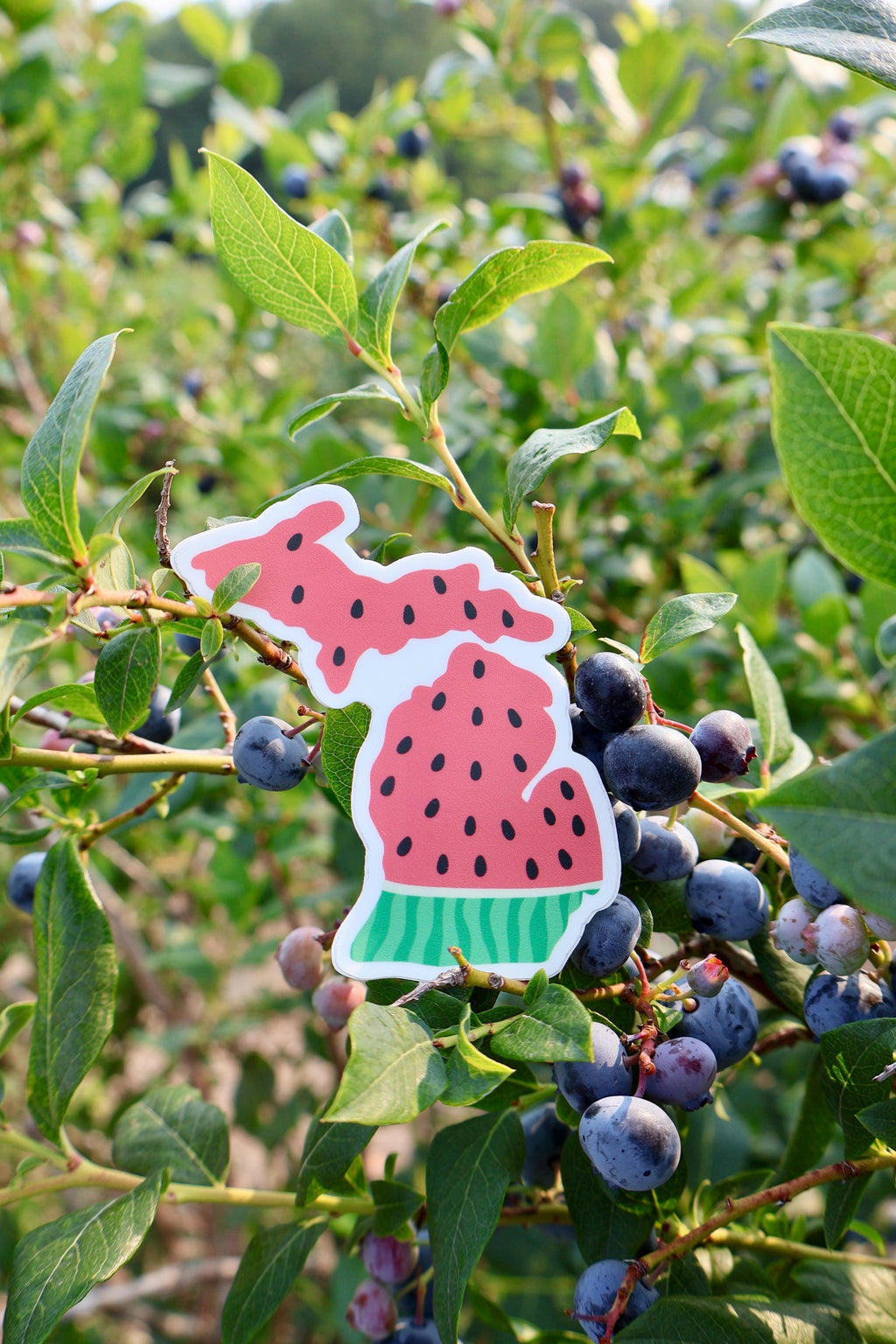 Michigan Watermelon Sticker - Waterproof Matte Vinyl