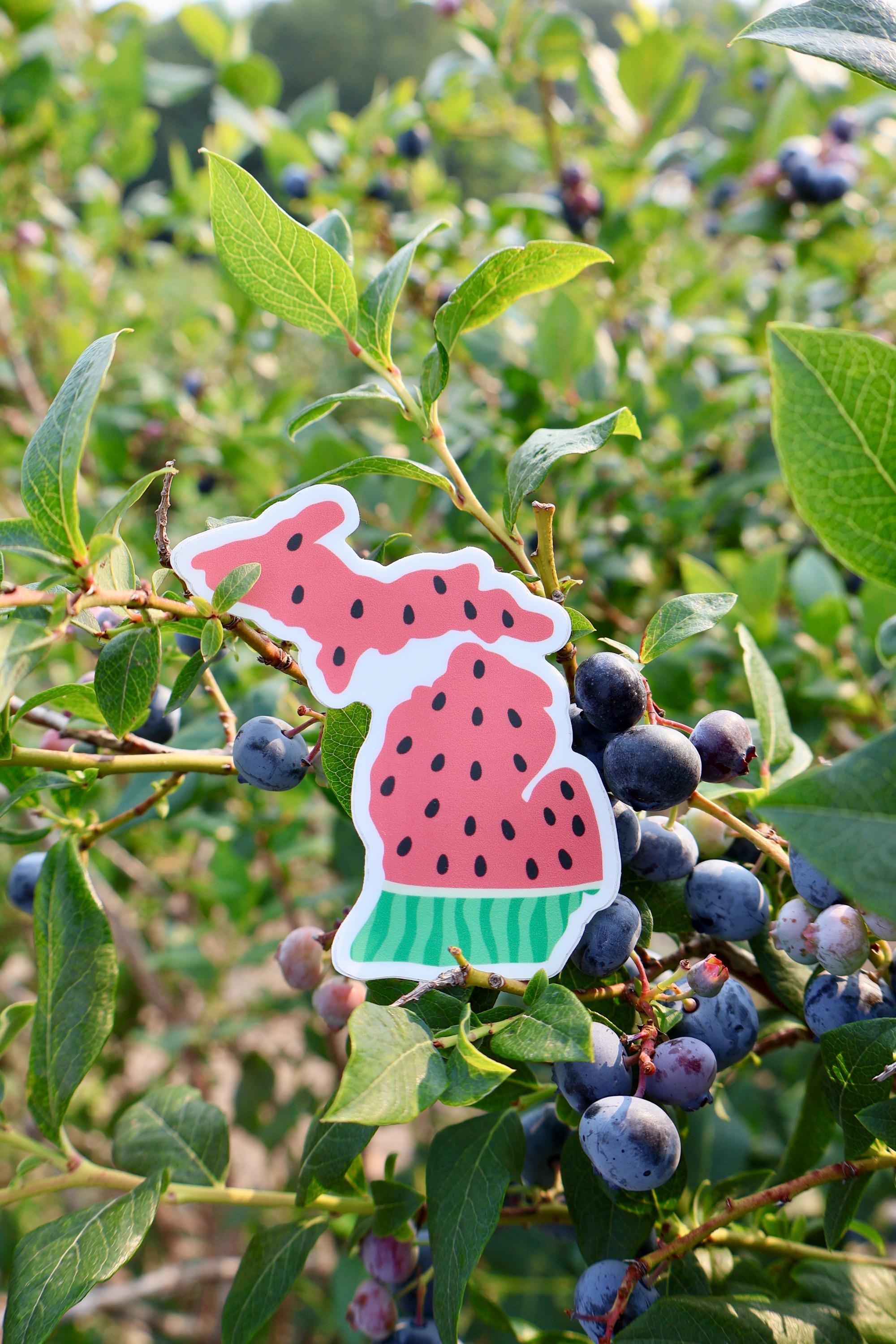 Michigan Watermelon Sticker - Waterproof Matte Vinyl