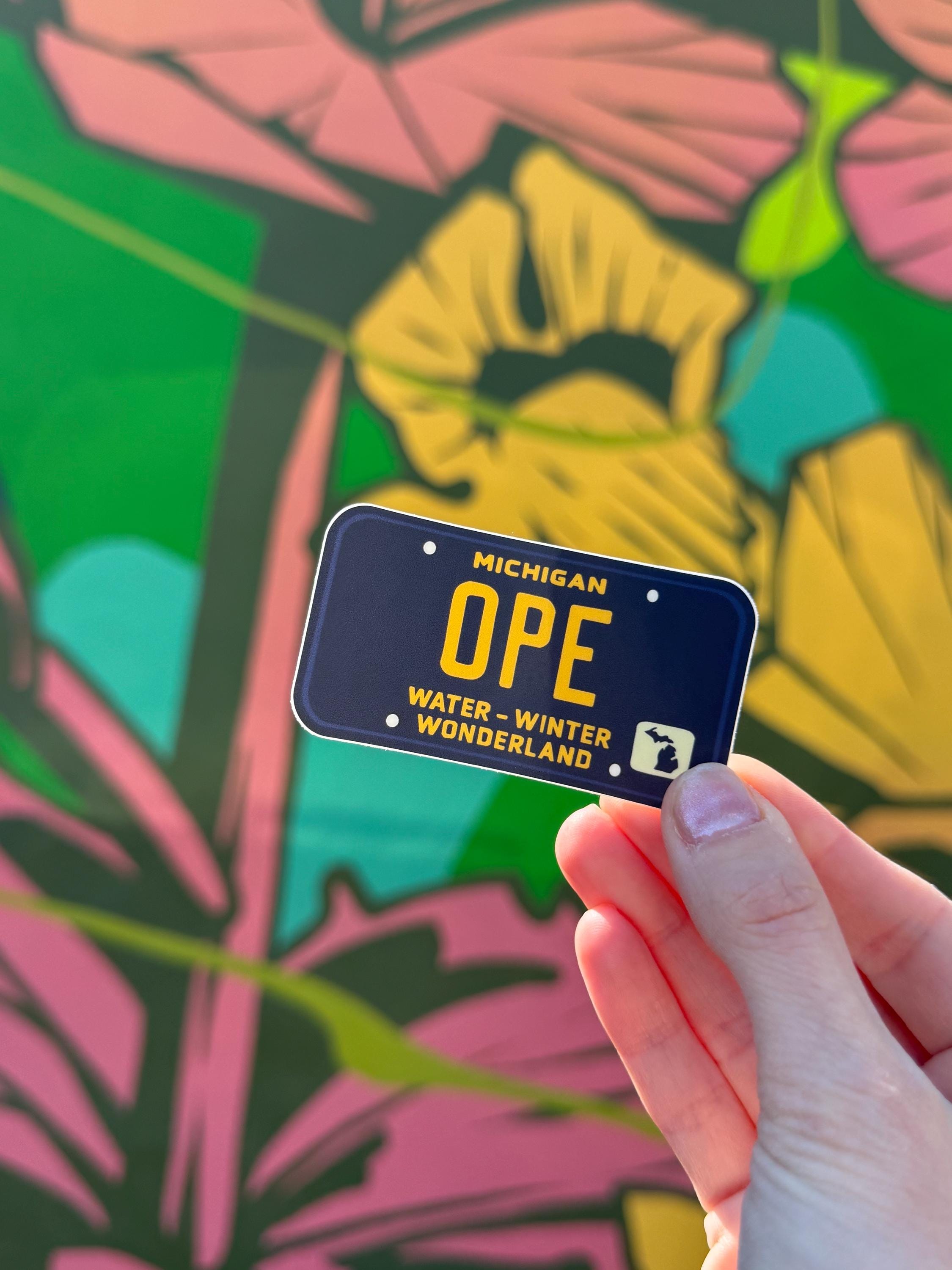 Ope Water Winter Wonderland License Plate Sticker - Waterproof Matte Vinyl