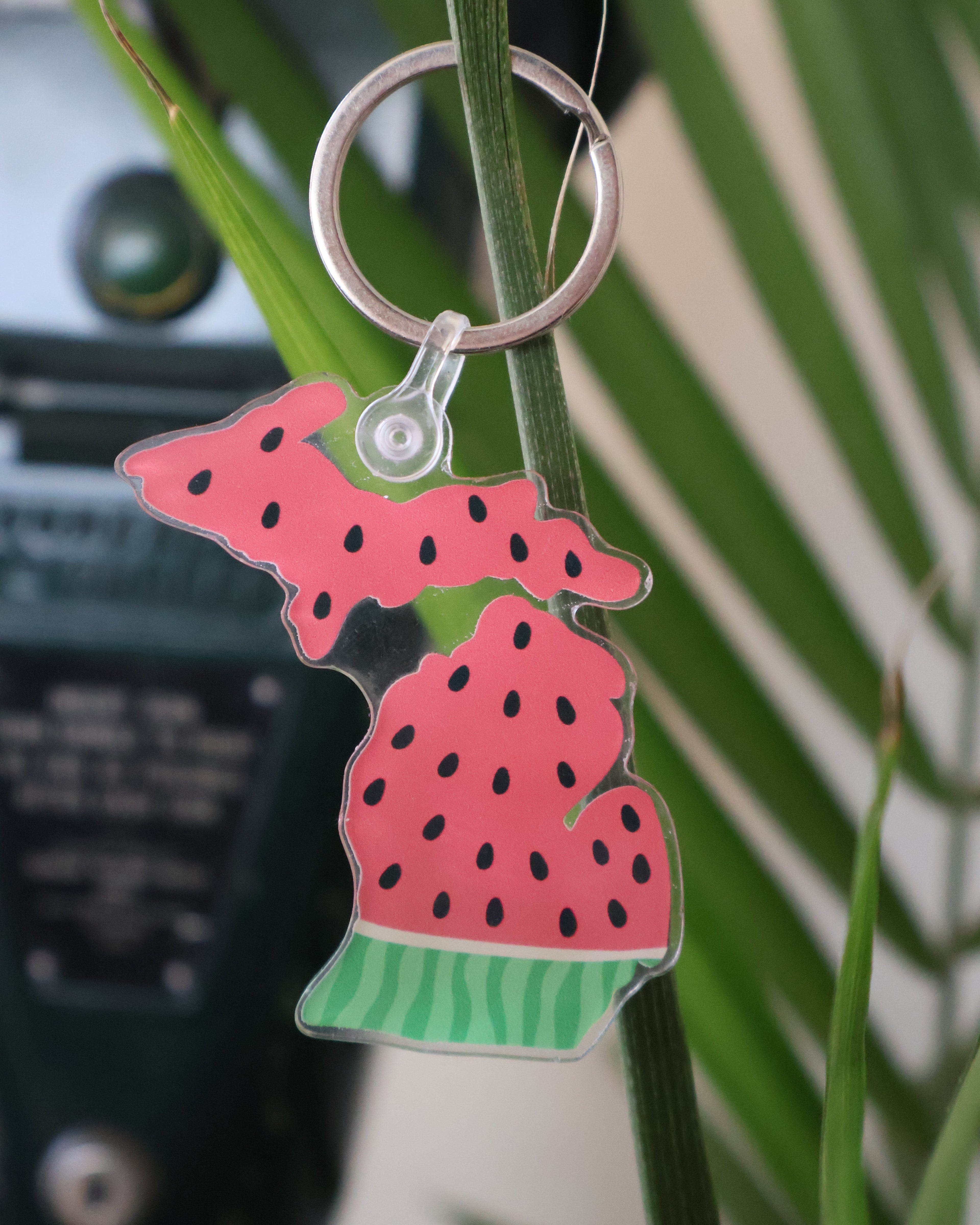Michigan Watermelon Acrylic Keychain