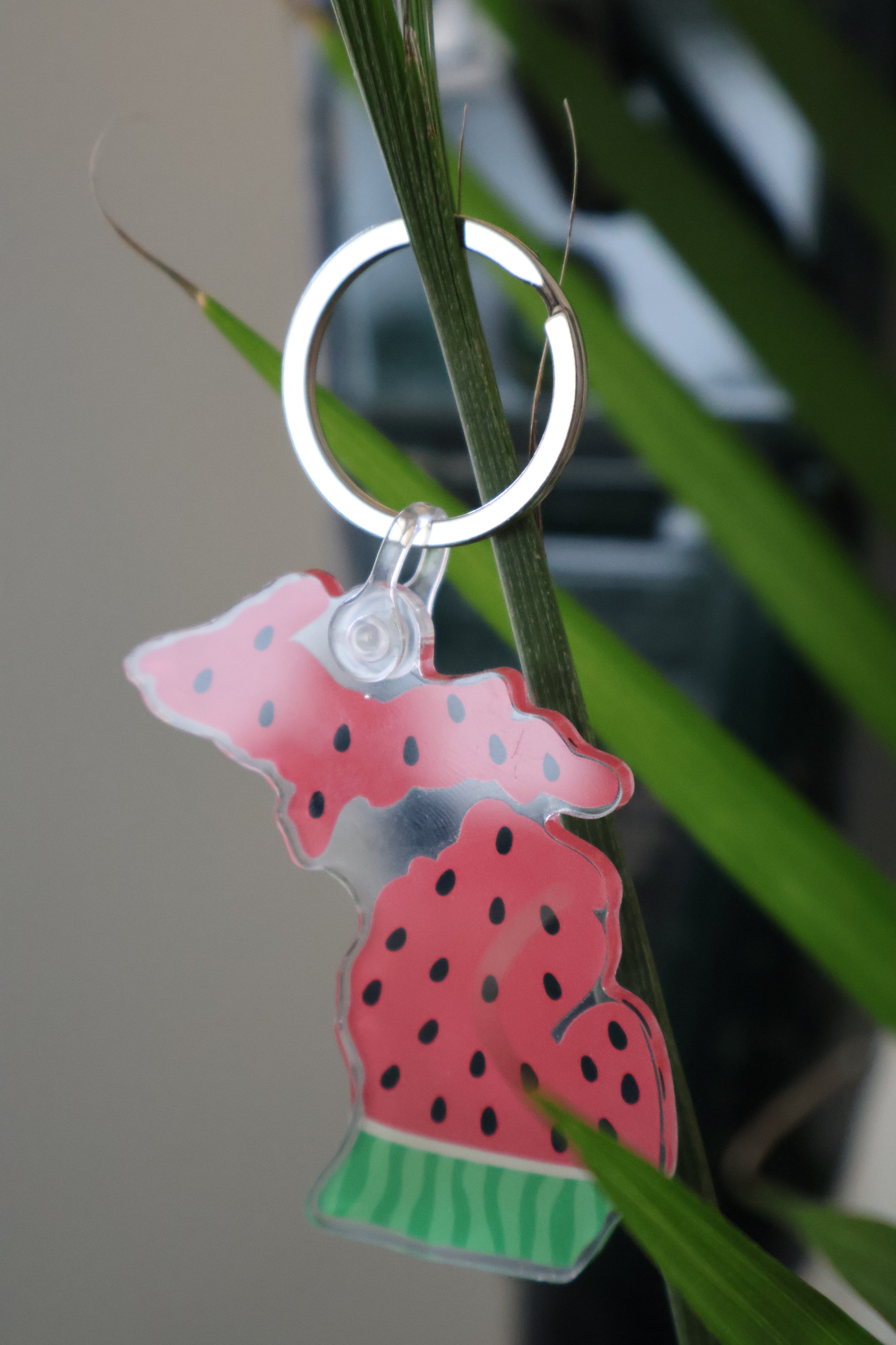 Michigan Watermelon Acrylic Keychain