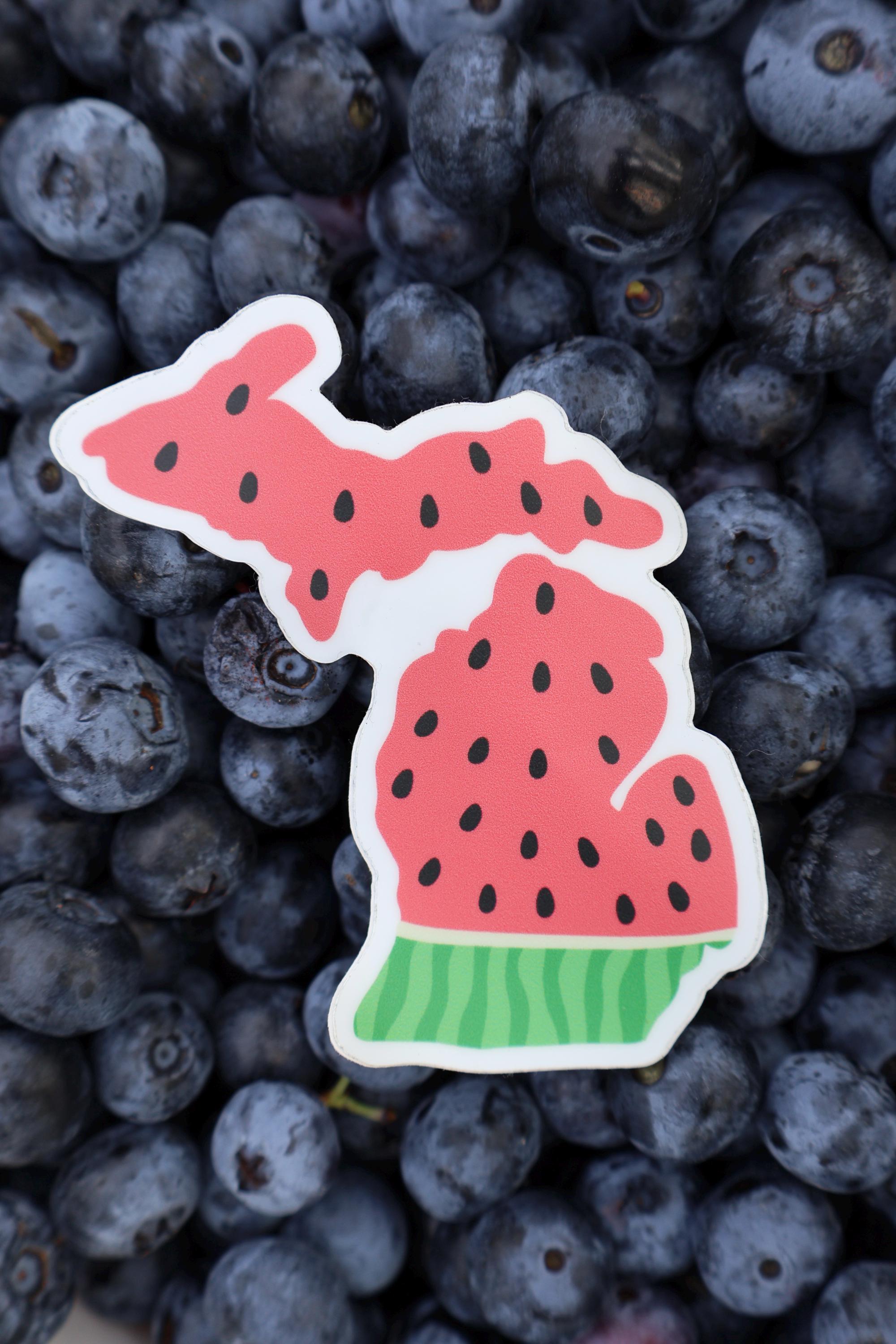 Michigan Watermelon Sticker - Waterproof Matte Vinyl