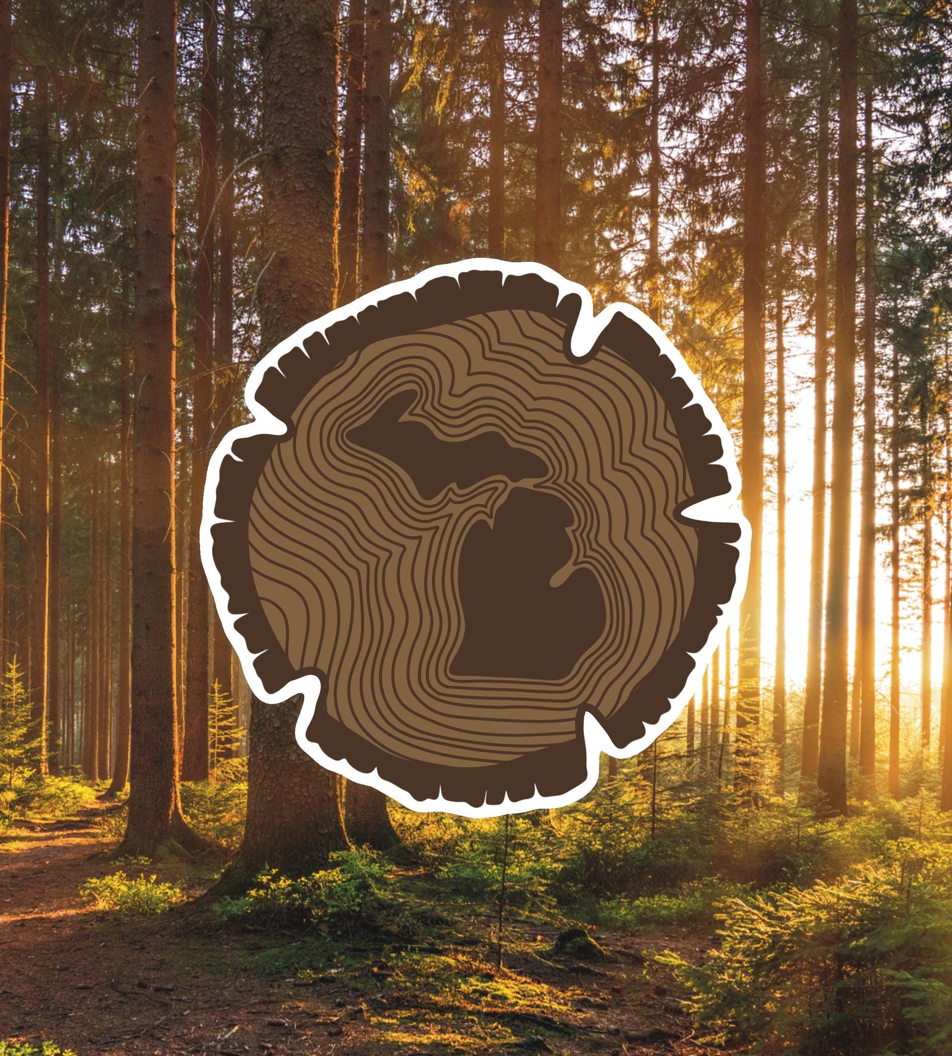 Michigan Forest Tree Ring Sticker - Waterproof Matte Vinyl