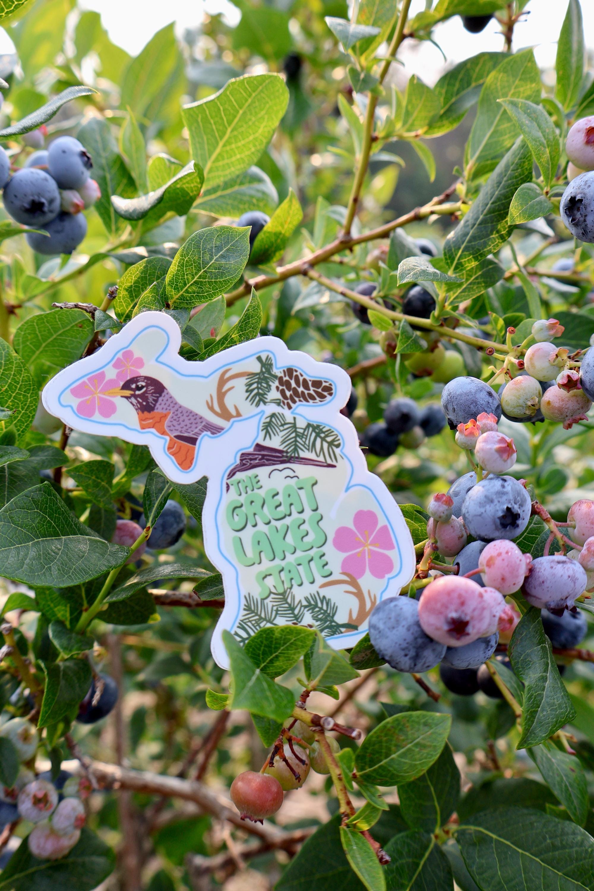 Michigan Mitten State Symbols Sticker - Waterproof Matte Vinyl