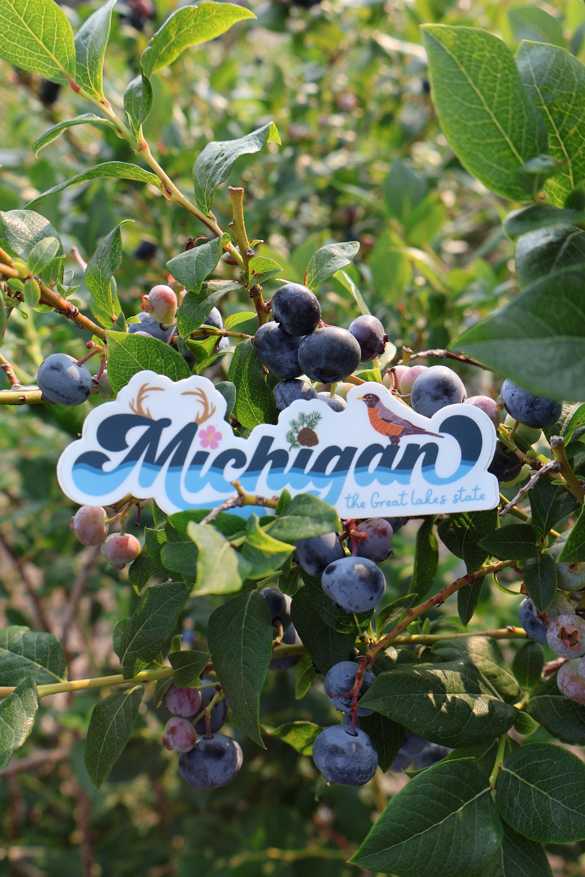 Michigan State Symbols Vinyl Sticker - Waterproof Matte Vinyl